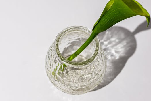 Decoding the Art of Healthy Living: Beyond the Trend Cycle