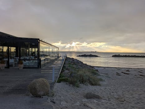 pexels-photo-34089193