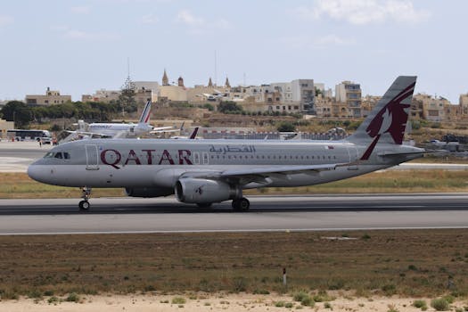 pexels-photo-33052492