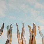 pexels-photo-8384539