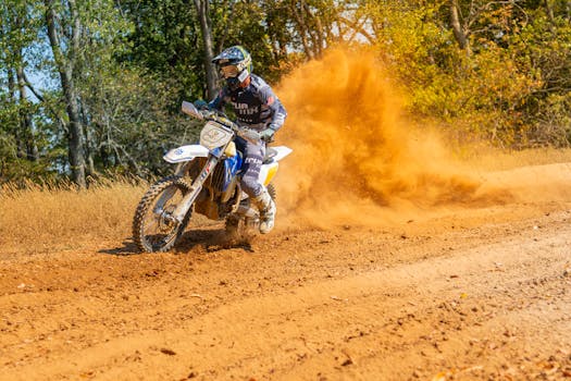 pexels-photo-34032279