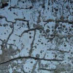 pexels-photo-13119493