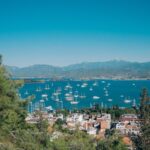 pexels-photo-34129420