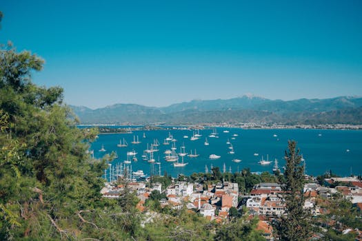 pexels-photo-34129420