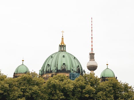 pexels-photo-34035079